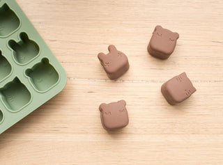 Freeze & Bake Mini Poddies® – Sage - We Might Be Tiny